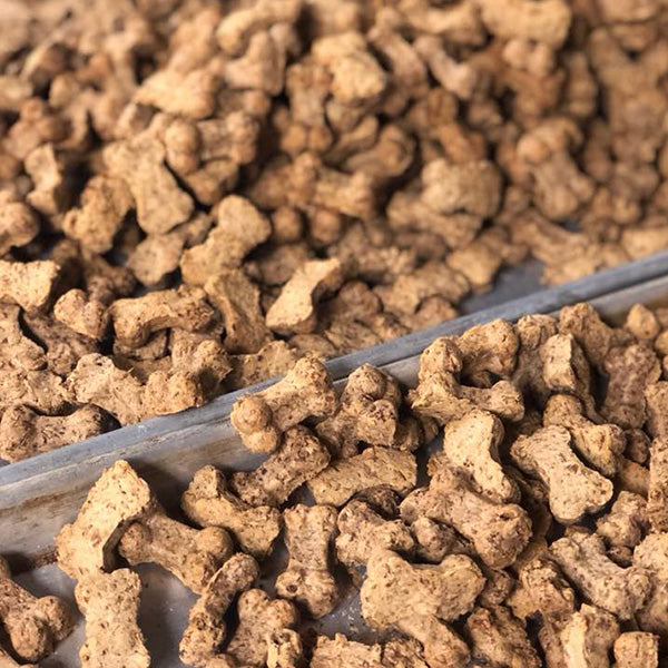 Beer City Dog Biscuits